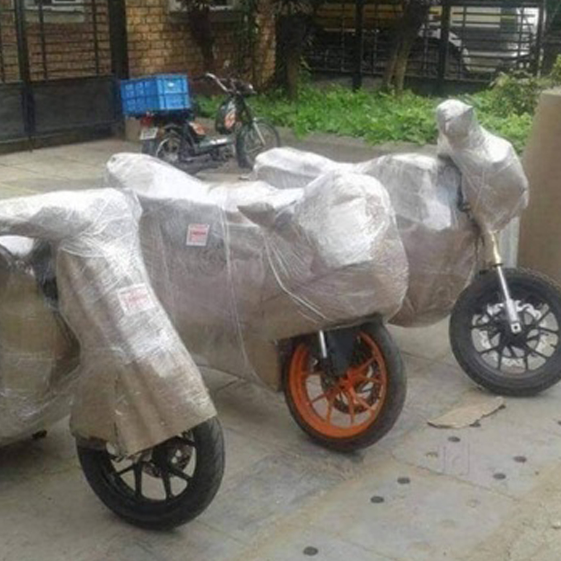 Bike Transportation Services